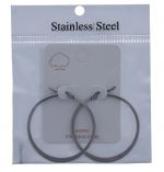 SILVER HOOP EARNINGS