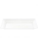 2.99 PLASTIC TRAY