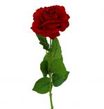 SINGLE RED ROSE 27 INCH