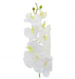 WHITE ORCHID BRANCH LONG 41 INCH
