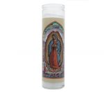 VIRGEN DE GUADALUPE