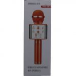 MICROPHONE