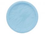 Baby Blue 9 Inch Dinner Plates 16 Count