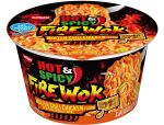 HOT AND SPICY FIRE WOK SOUP