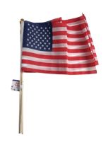 1.99 AMERICAN FLAGS