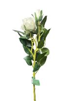 4.99 EXTRA LONG WHITE ROSE