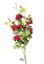 6.99 EXTRA LONG RED ROSE BOUQUET 