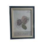 1.99 FRAME 8 X 10 INCH