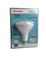 2.99 LED 75 W LIGHT BULB 