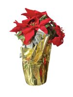 4.99 CHRISTMAS FLOWER