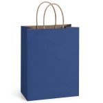 NAVY 3 CRAFT BAGS 8 X 10 X 4.75 INCH