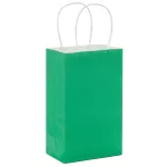 GREEN 4 CRAFT BAGS 5.25 X 8.5 X 3.25 INCH