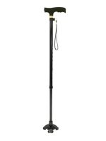 9.99 WALKING CANE
