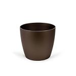 4.99 VASE