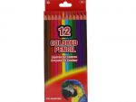 Color Pencil 12PC