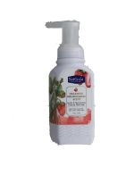 1.99 SOLGREAT CHARMING STRAWBERRIES SCENT FOAMING SOAP