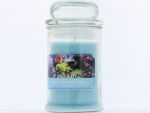 SCENTED CANDLE SEA LILY