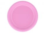 HOT PINK 9 IN PLASTIC PLATE