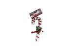 1.99 CANDYCANE W/ DECOR 21*8CM 1PC