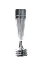 CHAMPAGNE FLUTES 4 PACK