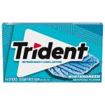 TRIDENT WINTERGREEN GUM