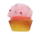 SWEET TOOTH SQUEAKING DOG TOY
