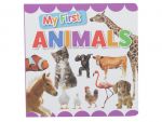 Baby Board Book My First Animals My First color