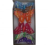BUTTERFLY 12 PACK