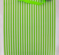 GREEN AND WHITE GIFT BAG