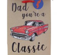 FATHERS DAY GIFT BAG