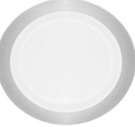 3.99 SILVER PLASTIC PLATE 12 PACK
