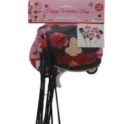 VALENTINES DAY PHOTO PROPS