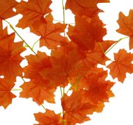 LEAVE BRANCH FALL MAPLE LEAF