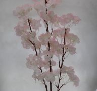 CHERRY BLOSSOM LONG STEM