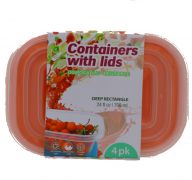 CONTAINERS WITH LIDS 24 FL OZ