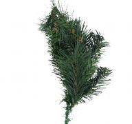 PINE BRANCH SHORT STEM