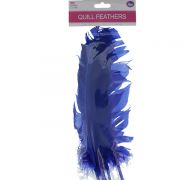 DARK BLUE QULL FEATHERS 10-12IN 4 COUNT