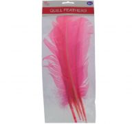 QUILL FEATHER 4 PACK 10-12 INCHES