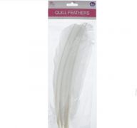 WHITE QUILL FEATHERS 10-24IN 4 COUNT