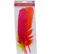 QUILL FEATHER 4 PACK 10-12 INCHES XXX
