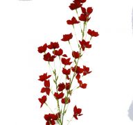 ARTIFICIAL ABUTILON PICTUM FLOWER 37 INCH FUSCHIA