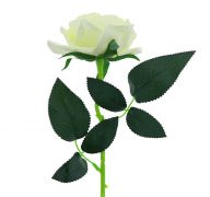 SINGLE ROSE LONG 43 INCH