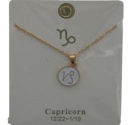 CAPICORN GOLD-SILVER NECKLACE LETTER NECKLACE