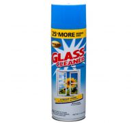 GLASS CLEANER 17 OZ