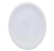 White 9 Inch Dinner Plates 16 Count