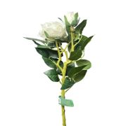 4.99 EXTRA LONG WHITE ROSE