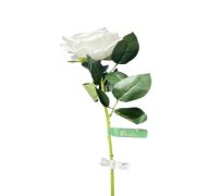 1.99 EXTRA LONG WHITE ROSE 