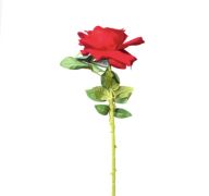 1.99 EXTRA LONG RED ROSE 