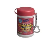 1.99 WISH SANITIZNG HAND WIPES 