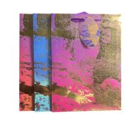 LARGE GIFT BAG 